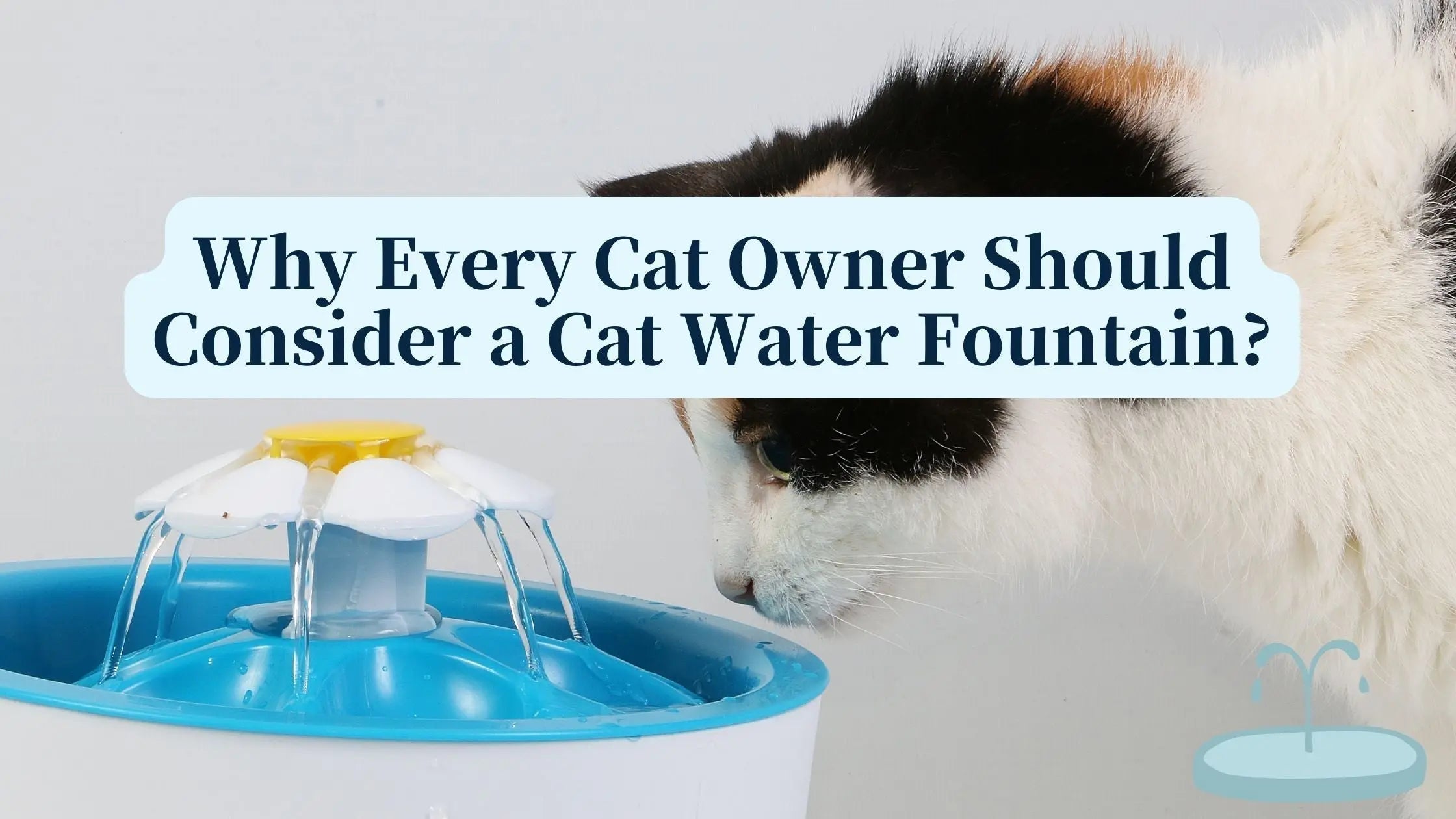 Why-Every-Cat-Owner-Should-Consider-a-Cat-Water-Fountain Petrkl
