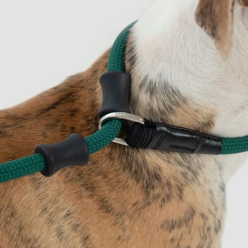 Petrkl CommandLead Dog P-style Leash.
