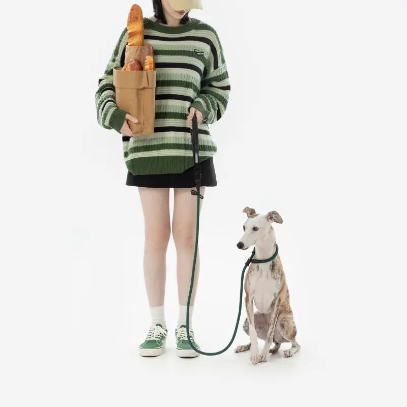 Petrkl CommandLead Dog P-style Leash.