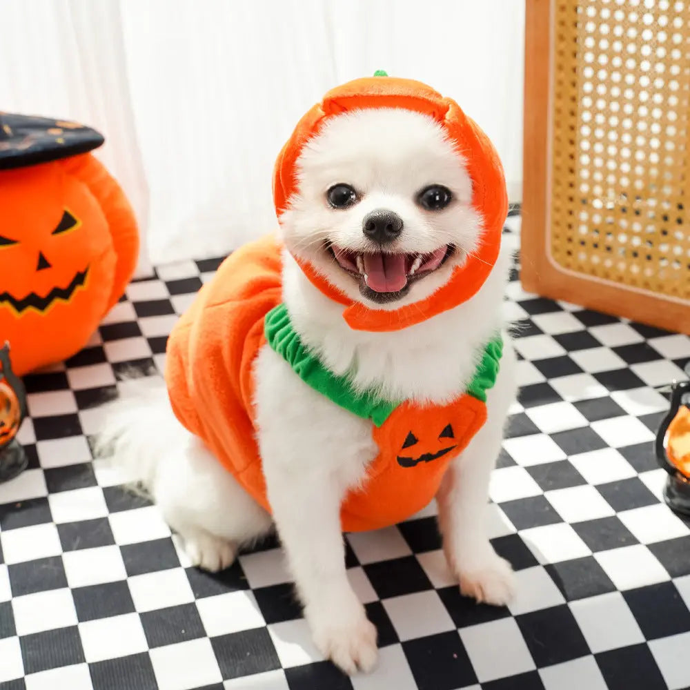 Petrkl™ Pumpkin Pet Halloween Costume Petrkl