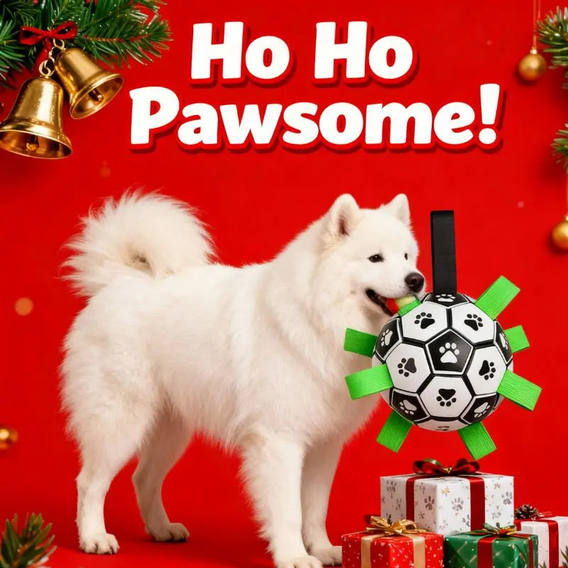 Petrkl™ PawKick – Interactive Dog Soccer Ball with Straps Petrkl