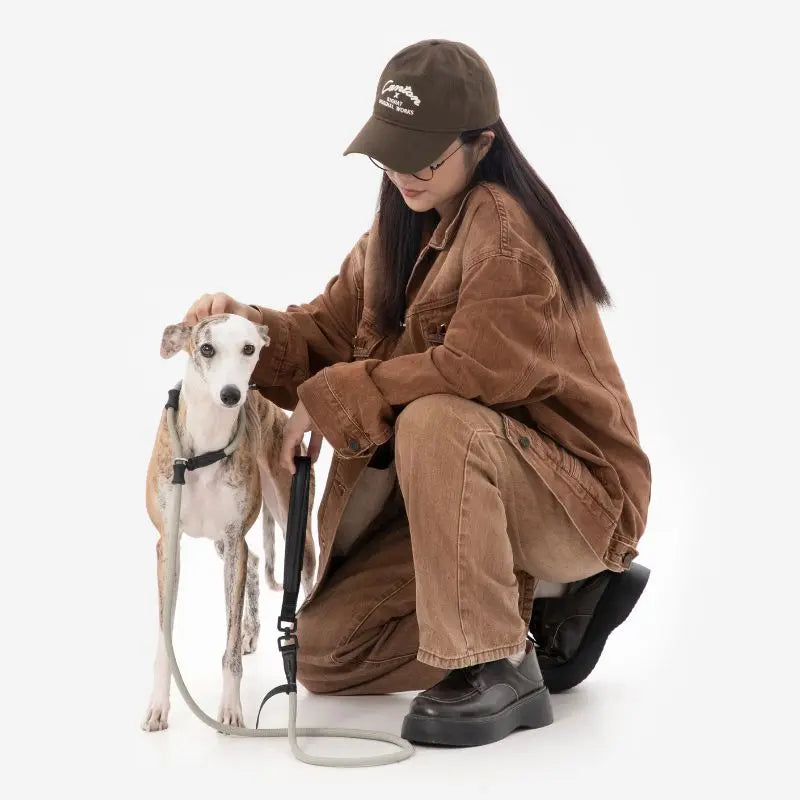 Petrkl CommandLead Dog P-style Leash.