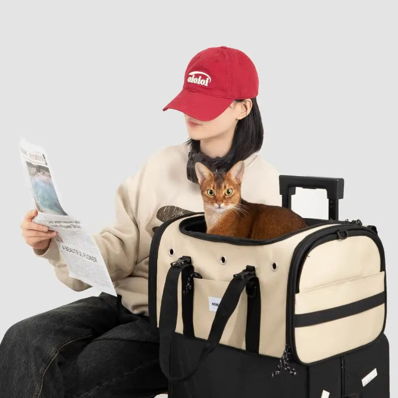 Petrkl™ AirGo Pet Carrier Petrkl