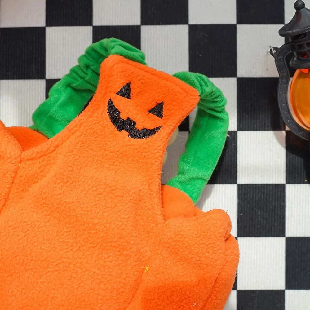 Petrkl™ Pumpkin Pet Halloween Costume Petrkl