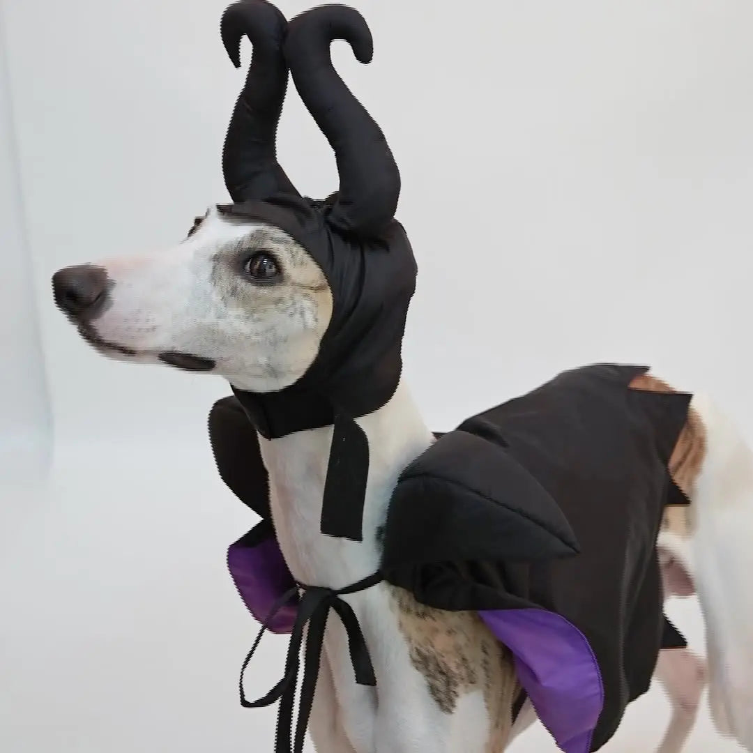 Petrkl™ Enchanted Paws Halloween Cloak Petrkl