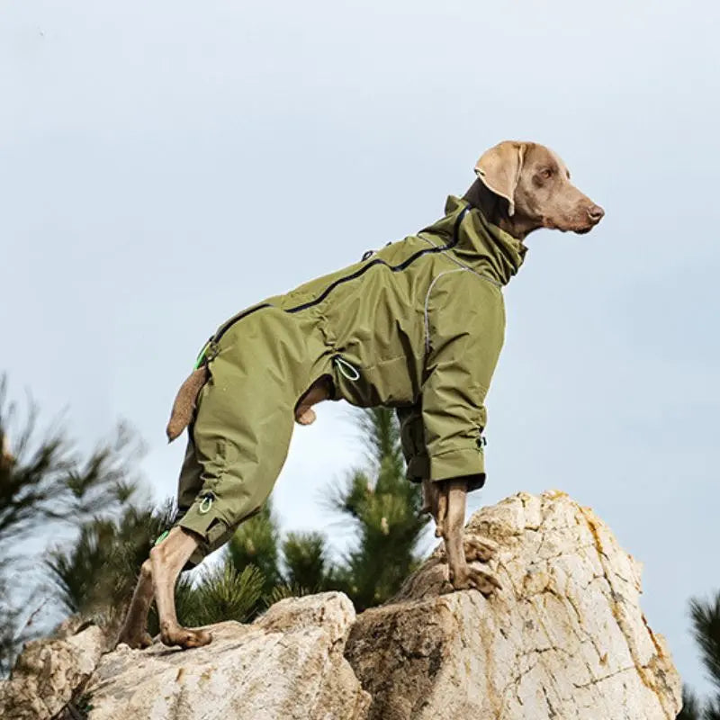 Petrkl™ Wind & Rain Large Dog Coat Petrkl