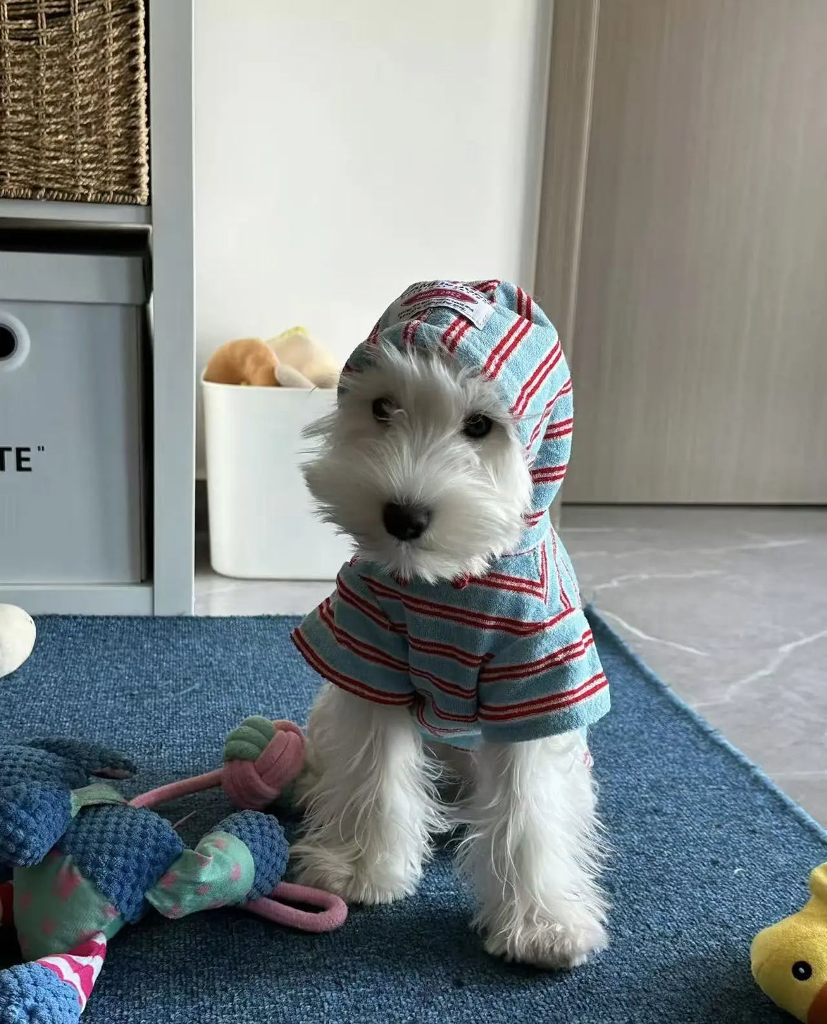 Petrkl™ Warm Striped Dog Hoodie Petrkl
