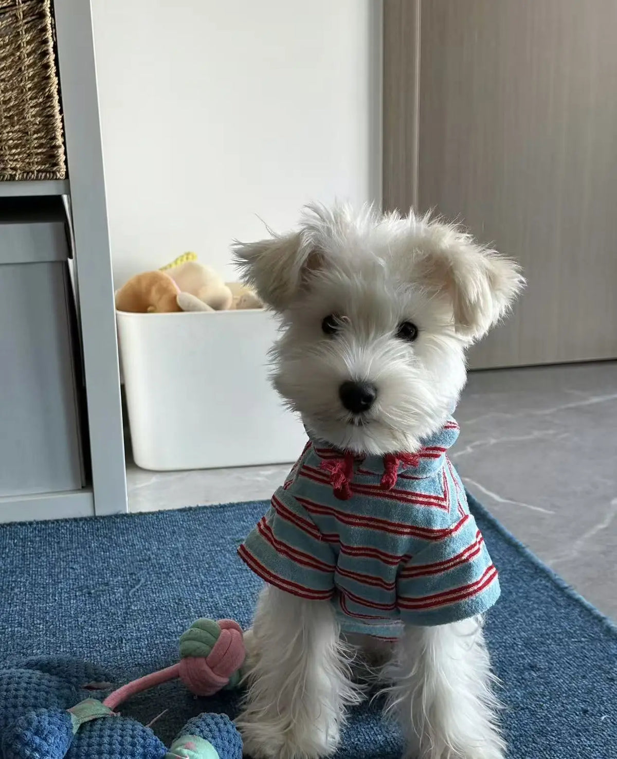 Petrkl™ Warm Striped Dog Hoodie Petrkl