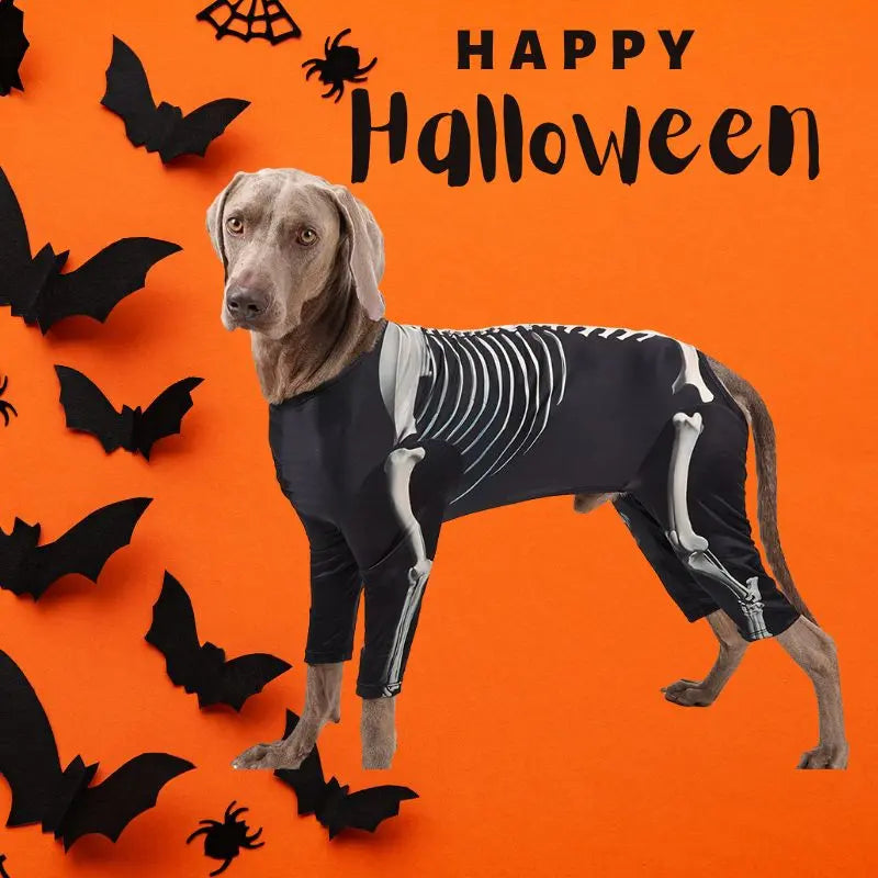 Petrkl™ Spooky Bones Halloween Dog Costume for Large Dogs Petrkl