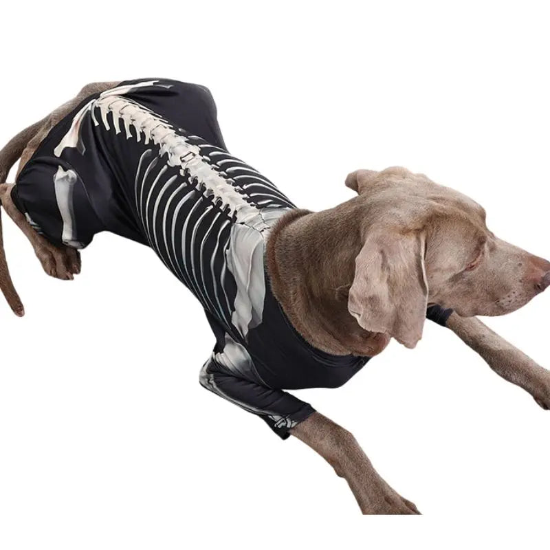 Petrkl™ Spooky Bones Halloween Dog Costume for Large Dogs Petrkl