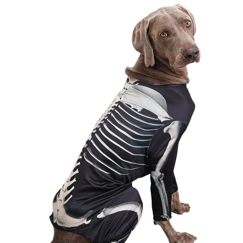 Petrkl™ Spooky Bones Halloween Dog Costume for Large Dogs Petrkl