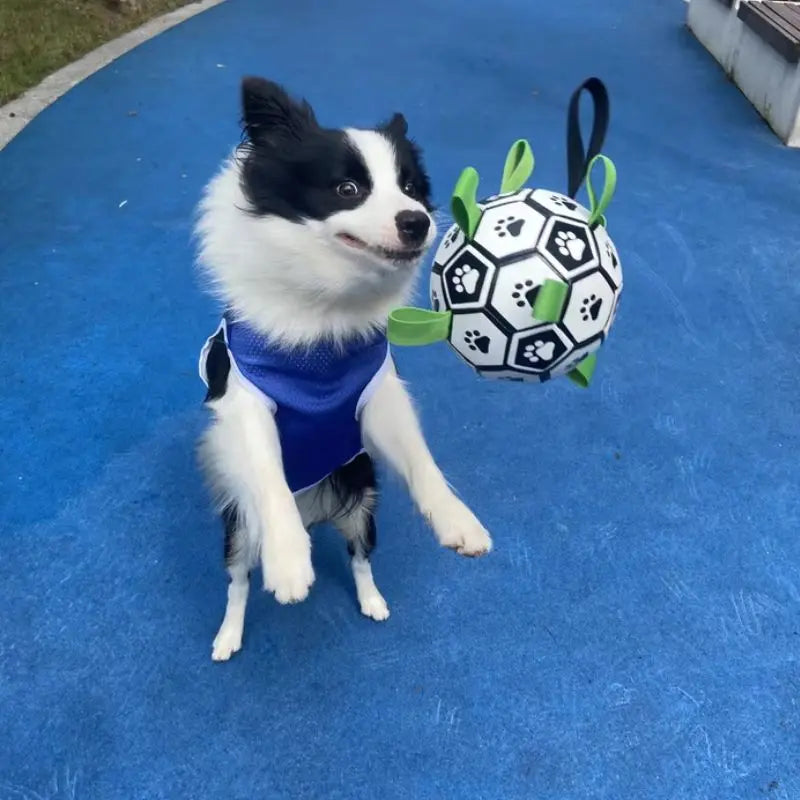 Petrkl™ PawKick – Interactive Dog Soccer Ball with Straps Petrkl