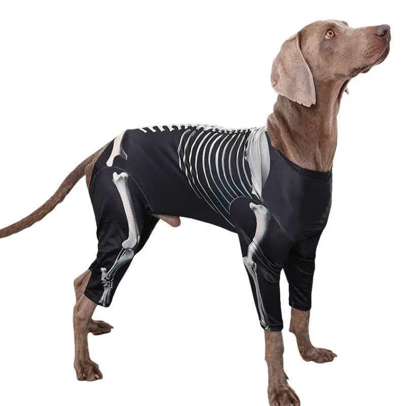 Petrkl™ Spooky Bones Halloween Dog Costume for Large Dogs Petrkl