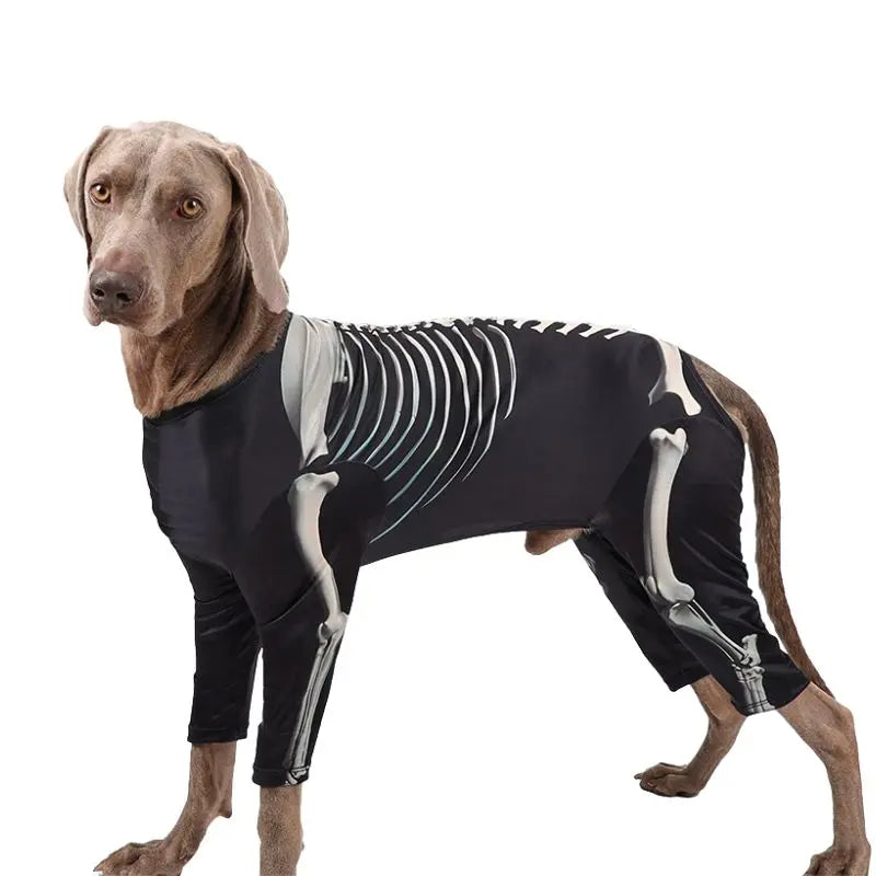 Petrkl™ Spooky Bones Halloween Dog Costume for Large Dogs Petrkl
