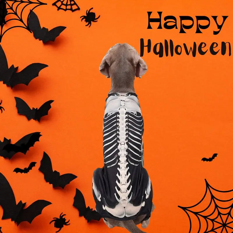 Petrkl™ Spooky Bones Halloween Dog Costume for Large Dogs Petrkl