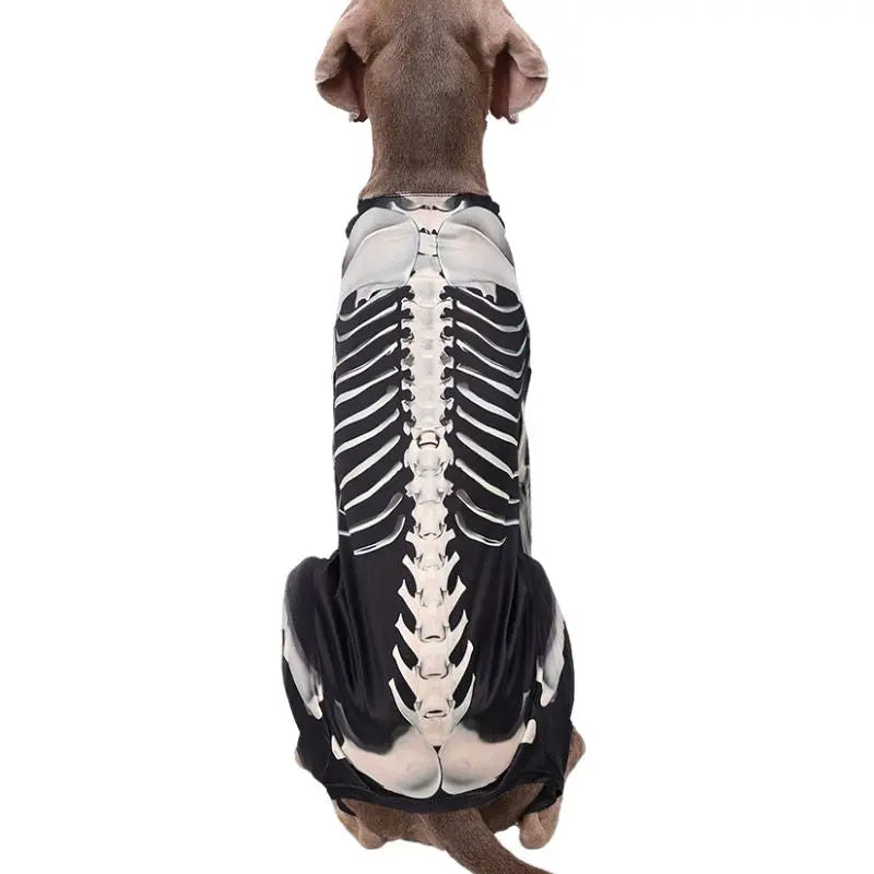 Petrkl™ Spooky Bones Halloween Dog Costume for Large Dogs Petrkl