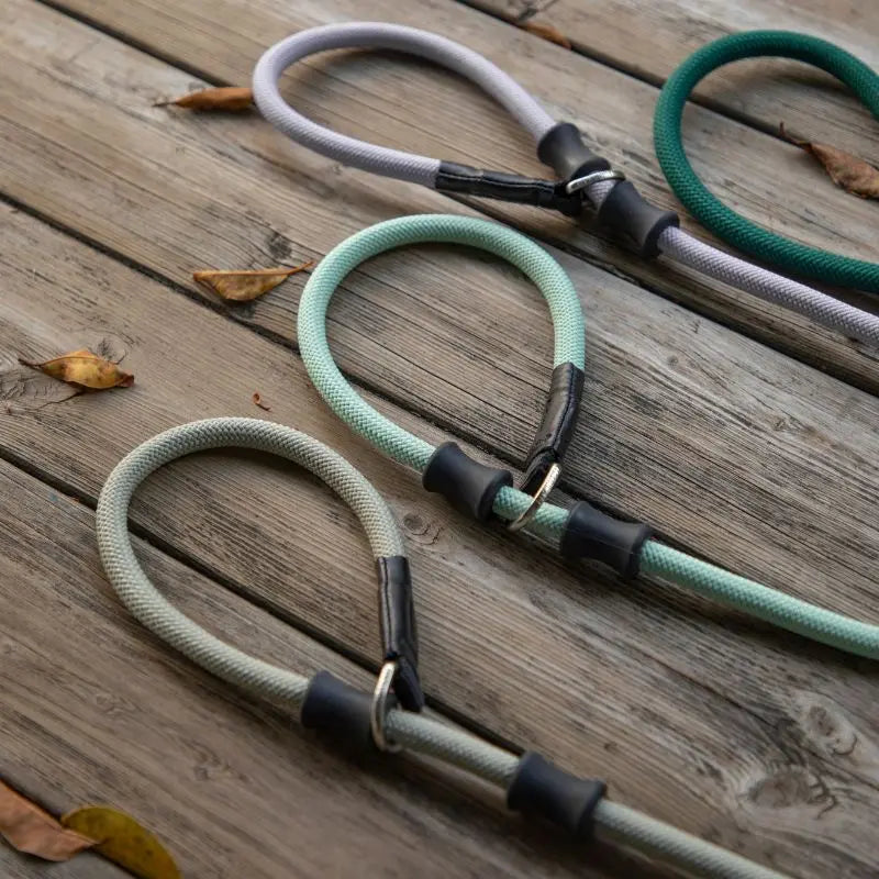 Petrkl CommandLead Dog P-style Leash.