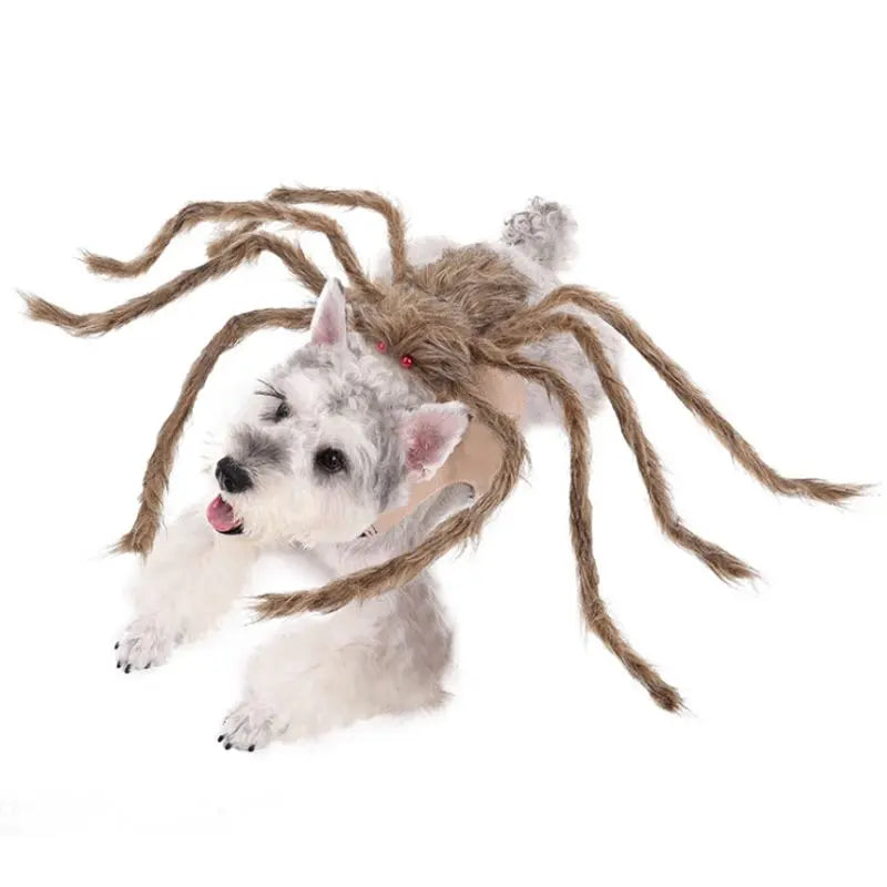Petrkl™ Spooky Spider Pet Costume for Dogs & Cats Petrkl
