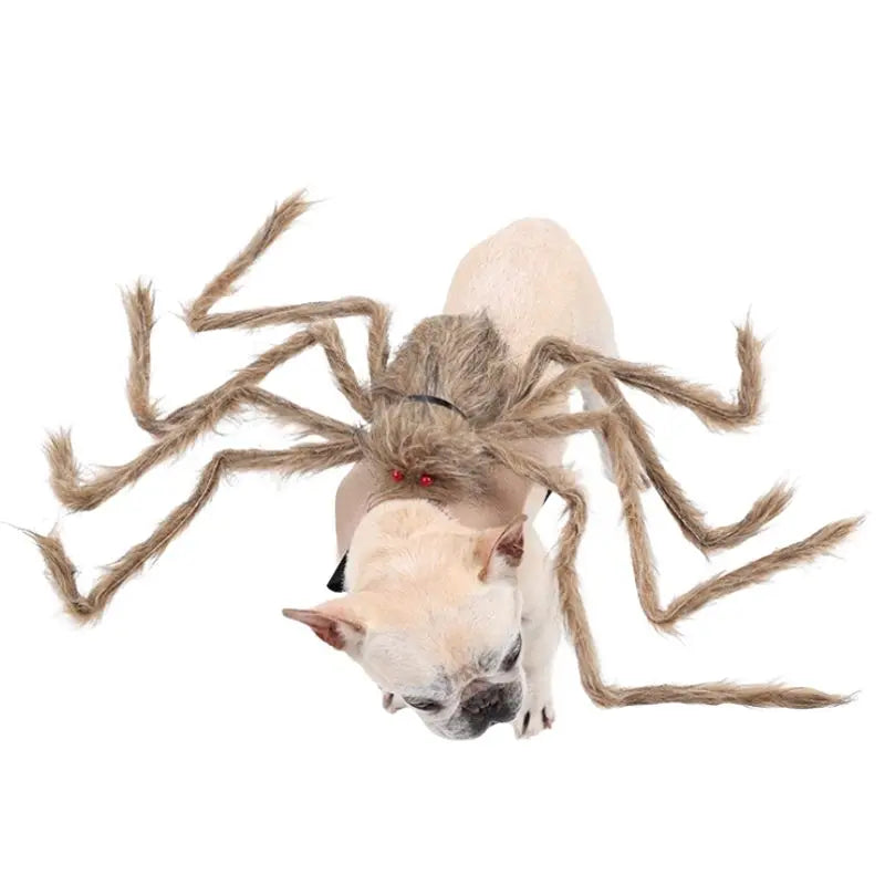 Petrkl™ Spooky Spider Pet Costume for Dogs & Cats Petrkl