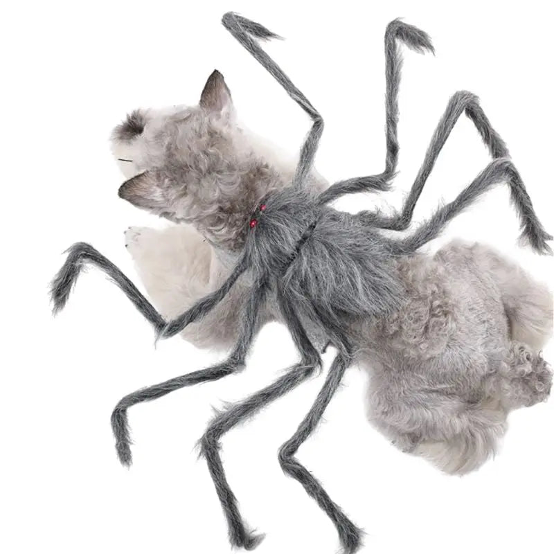 Petrkl™ Spooky Spider Pet Costume for Dogs & Cats Petrkl