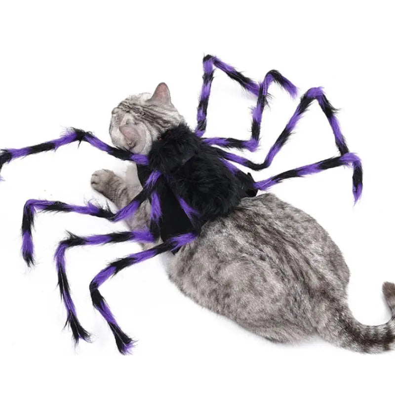 Petrkl™ Spooky Spider Pet Costume for Dogs & Cats Petrkl