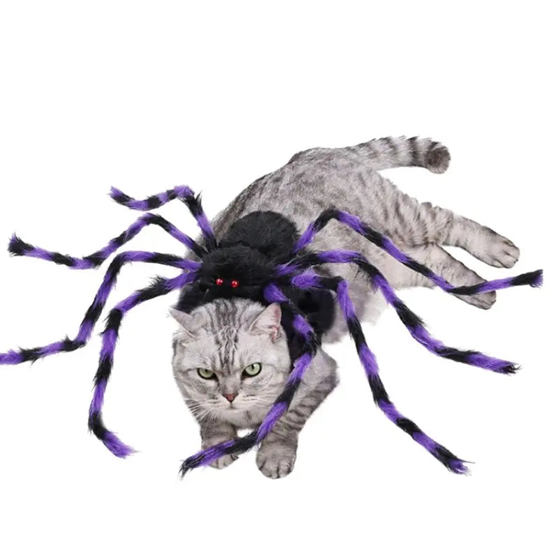 Petrkl™ Spooky Spider Pet Costume for Dogs & Cats Petrkl