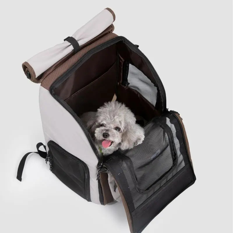 Petrkl™ GoFree Pet Carrier Backpack for Cats & Small Dogs Petrkl