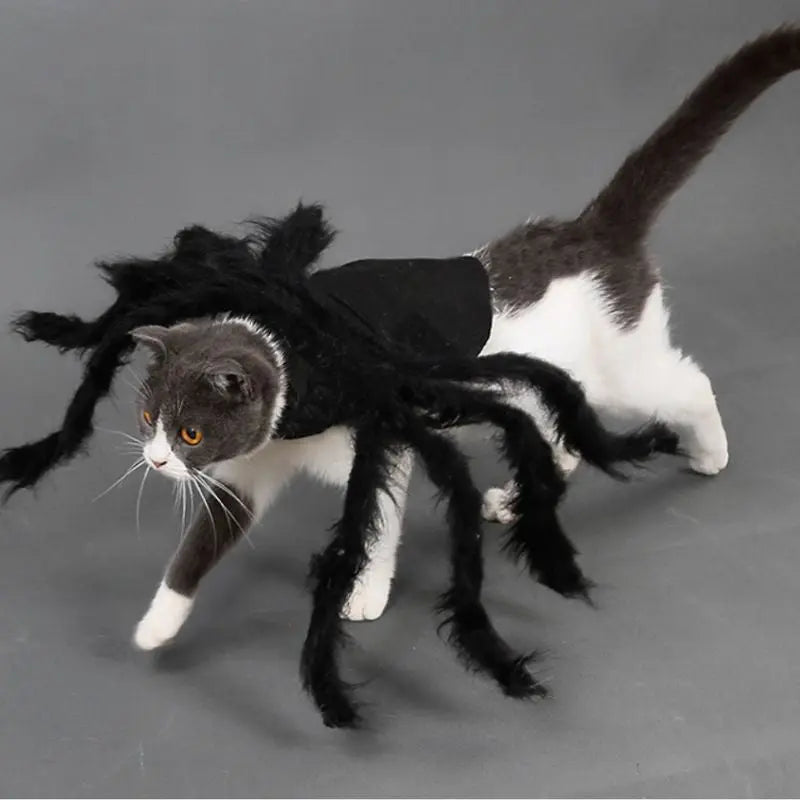 Petrkl™ Spider Plush Costume – Halloween Outfit for Dogs & Cats Petrkl