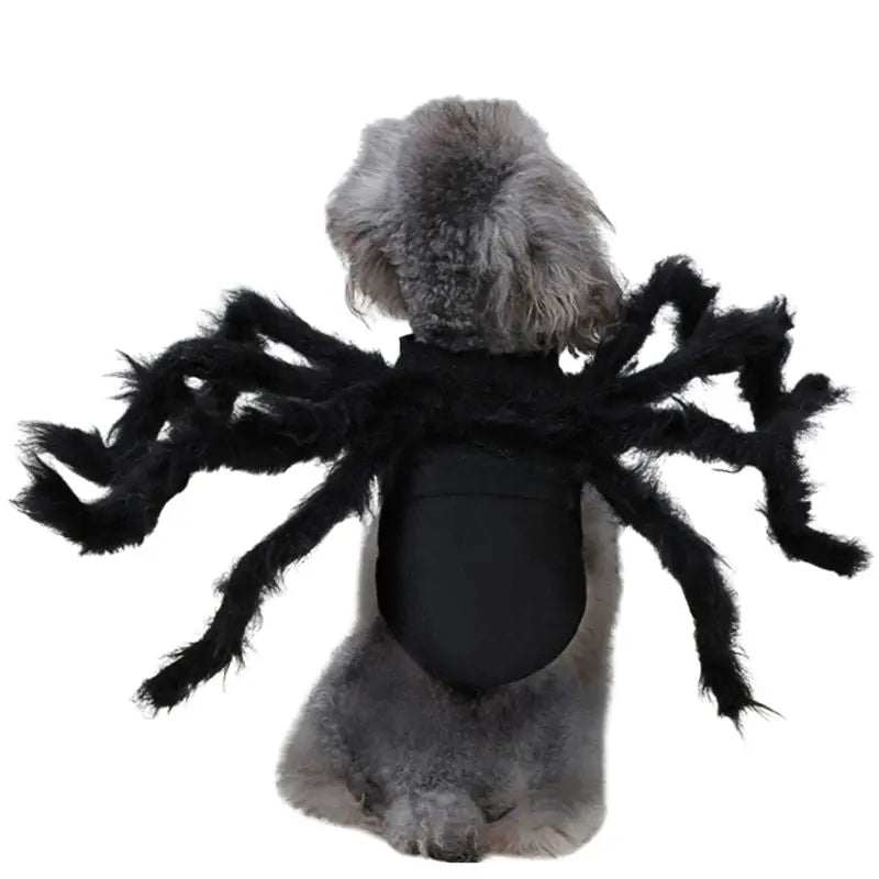 Petrkl™ Spider Plush Costume – Halloween Outfit for Dogs & Cats Petrkl