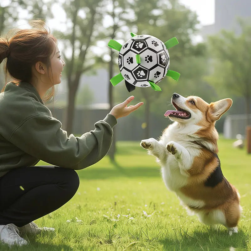 Petrkl™ PawKick – Interactive Dog Soccer Ball with Straps Petrkl
