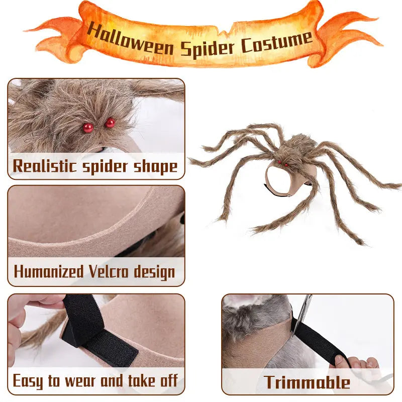 Petrkl™ Spooky Spider Pet Costume for Dogs & Cats Petrkl