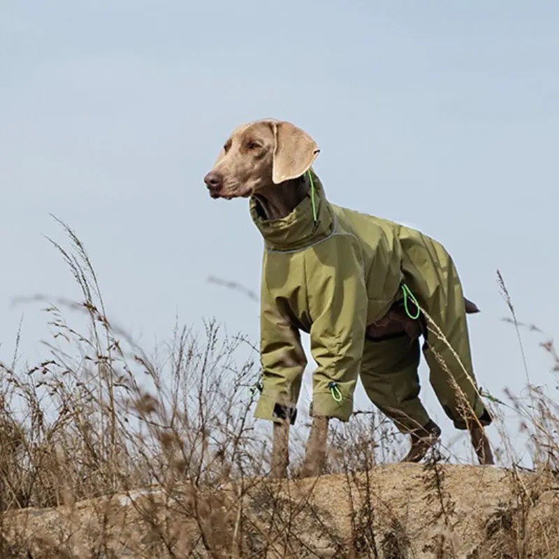 Petrkl™ Wind & Rain Large Dog Coat Petrkl