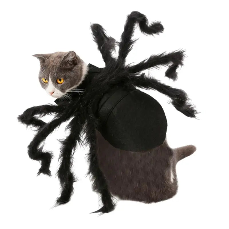 Petrkl™ Spider Plush Costume – Halloween Outfit for Dogs & Cats Petrkl