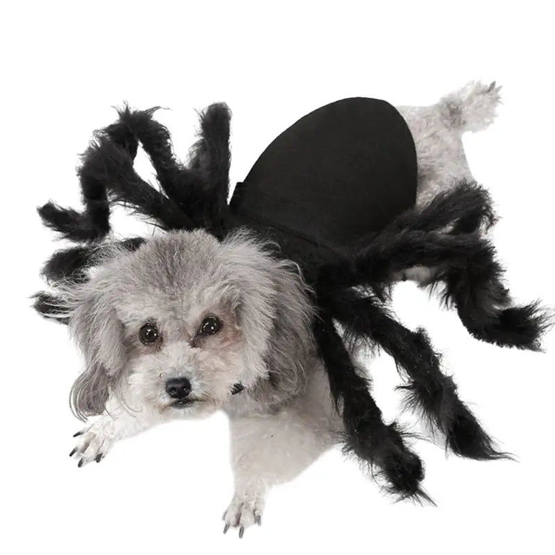 Petrkl™ Spider Plush Costume – Halloween Outfit for Dogs & Cats Petrkl