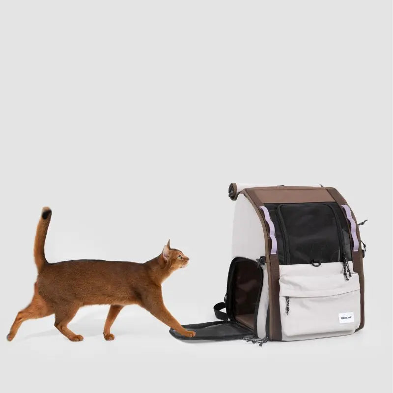 Petrkl™ GoFree Pet Carrier Backpack for Cats & Small Dogs Petrkl