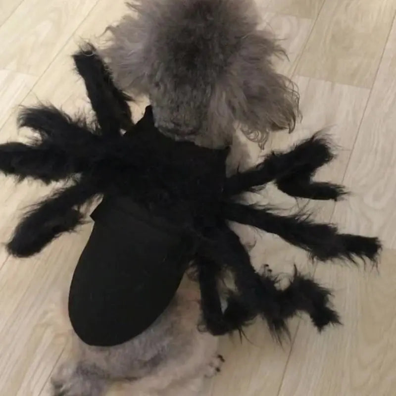Petrkl™ Spider Plush Costume – Halloween Outfit for Dogs & Cats Petrkl