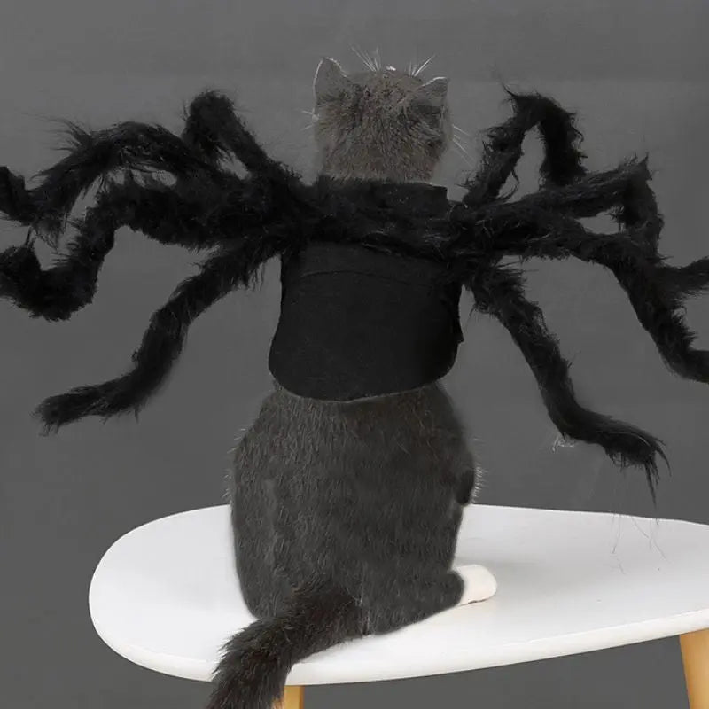 Petrkl™ Spider Plush Costume – Halloween Outfit for Dogs & Cats Petrkl