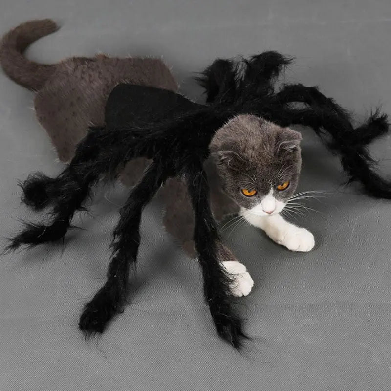 Petrkl™ Spider Plush Costume – Halloween Outfit for Dogs & Cats Petrkl