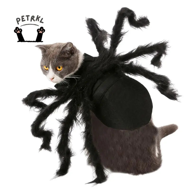 Petrkl™ Spider Plush Costume – Halloween Outfit for Dogs & Cats Petrkl