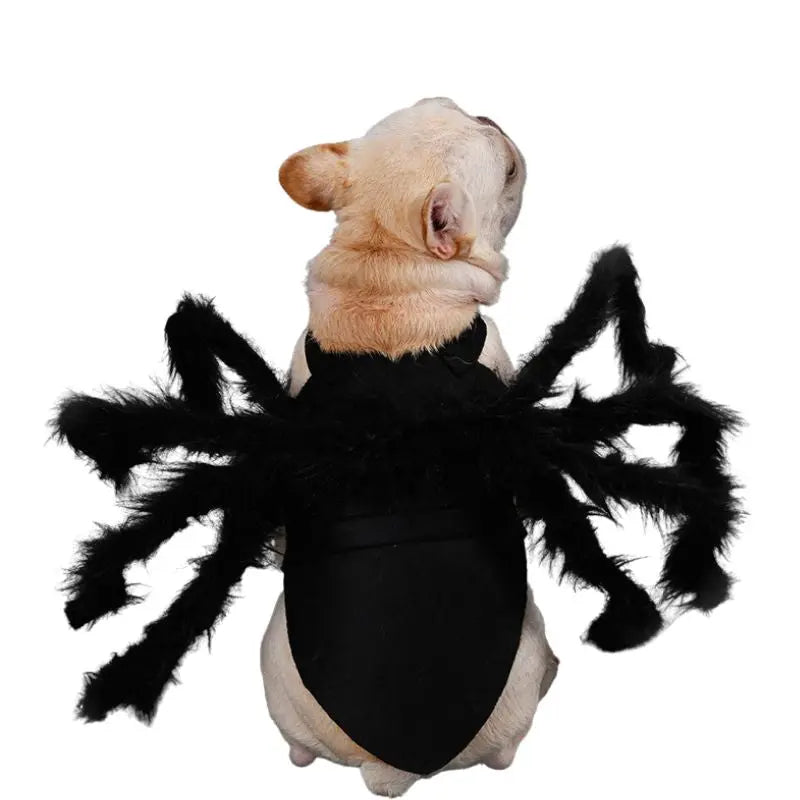 Petrkl™ Spider Plush Costume – Halloween Outfit for Dogs & Cats Petrkl