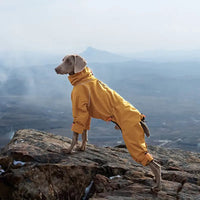 Petrkl™ Wind & Rain Large Dog Coat Petrkl
