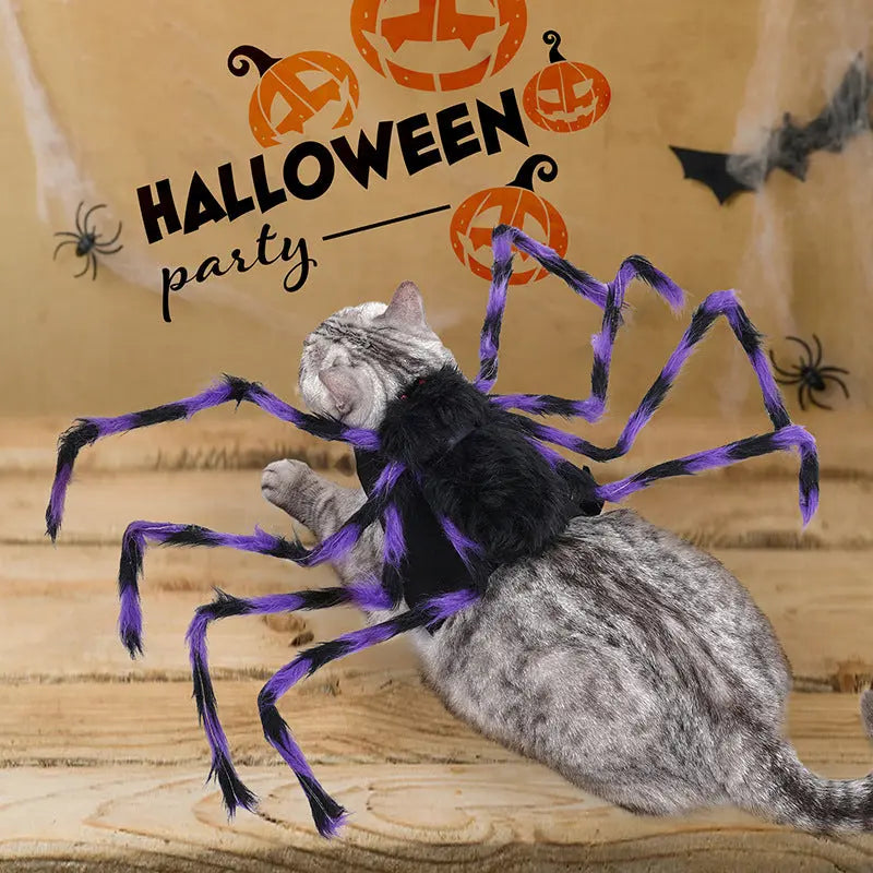 Petrkl™ Spooky Spider Pet Costume for Dogs & Cats Petrkl