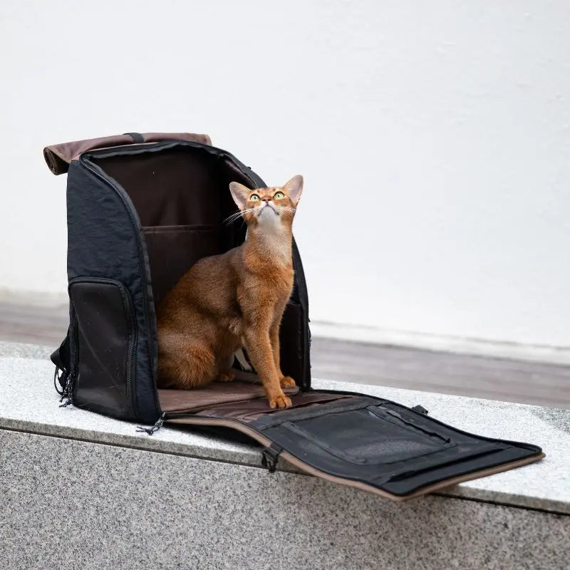 Petrkl™ GoFree Pet Carrier Backpack for Cats & Small Dogs Petrkl