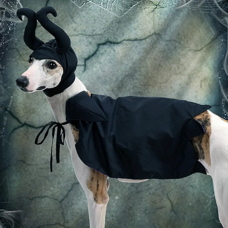 Petrkl™ Enchanted Paws Halloween Cloak Petrkl