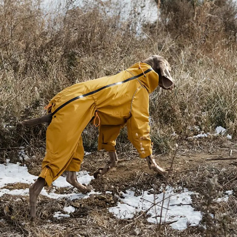 Petrkl™ Wind & Rain Large Dog Coat Petrkl