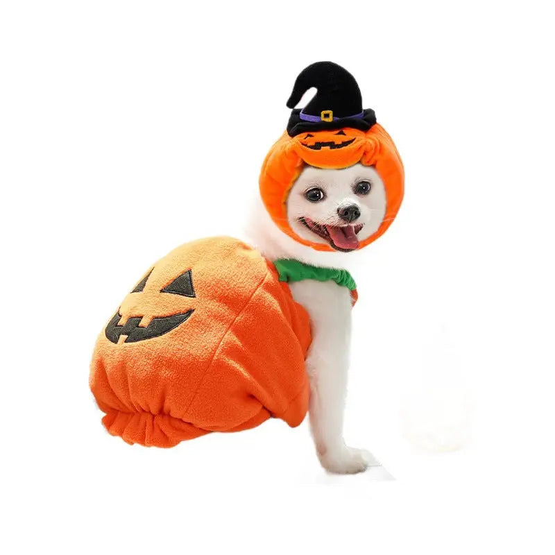 Petrkl™ Pumpkin Pet Halloween Costume Petrkl