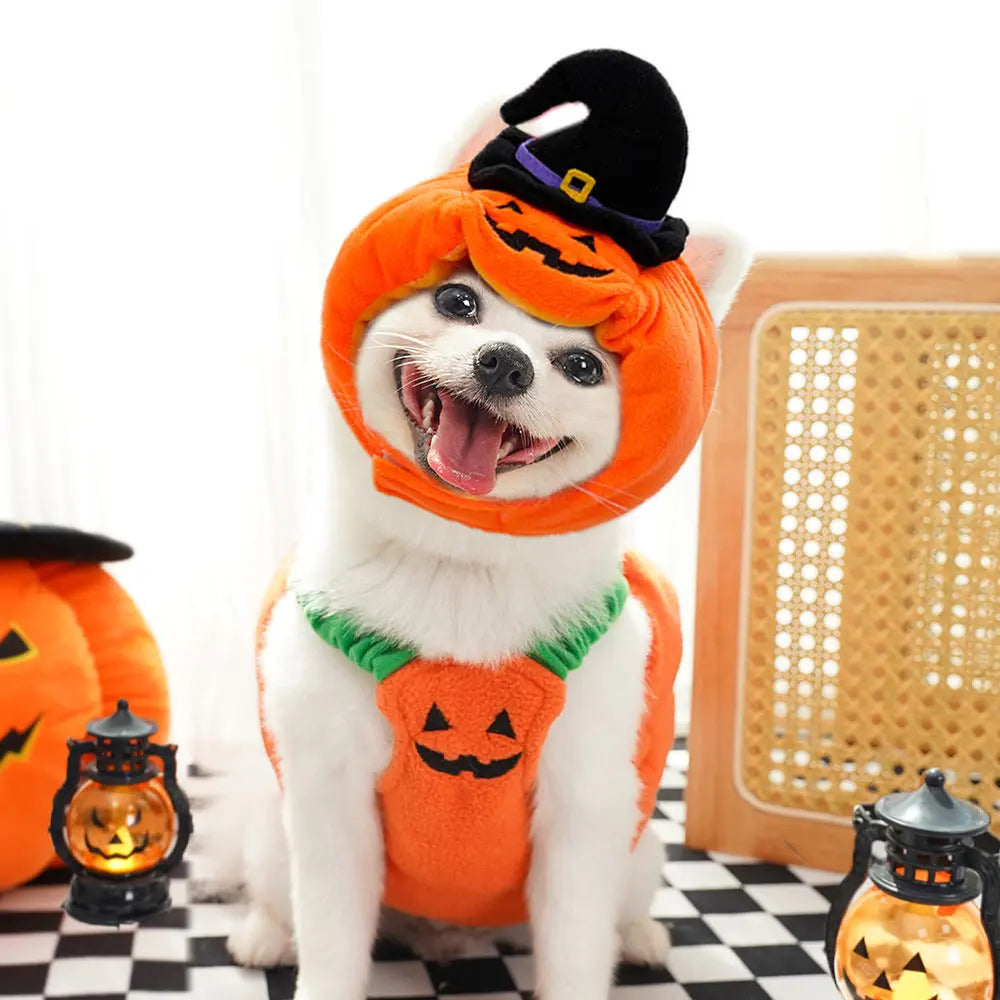 Petrkl™ Pumpkin Pet Halloween Costume Petrkl