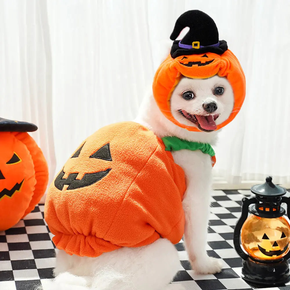 Petrkl™ Pumpkin Pet Halloween Costume Petrkl