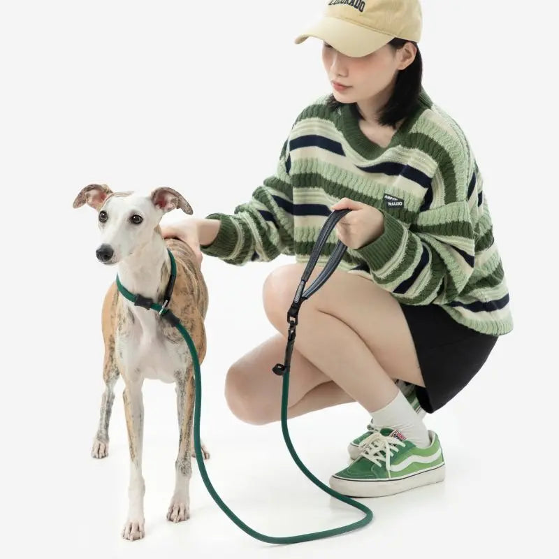 Petrkl CommandLead Dog P-style Leash.