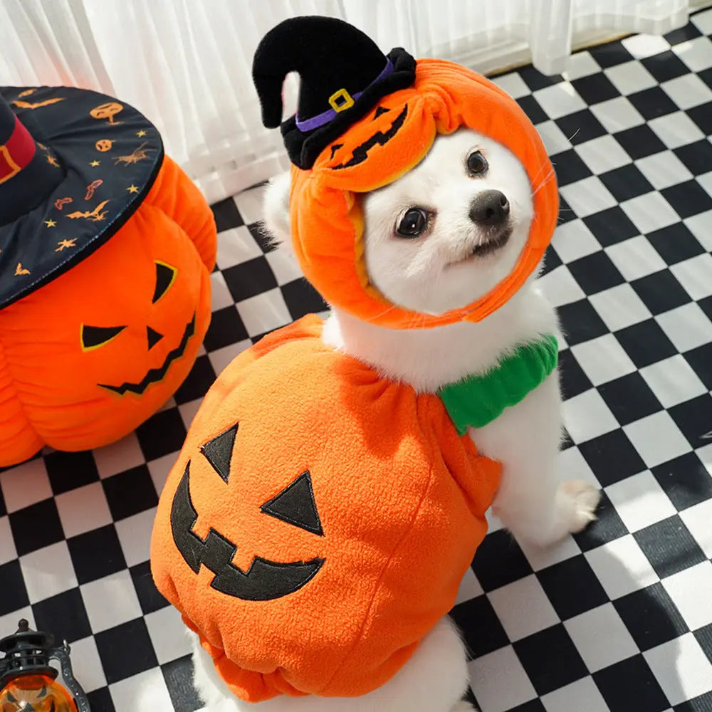 Petrkl™ Pumpkin Pet Halloween Costume Petrkl